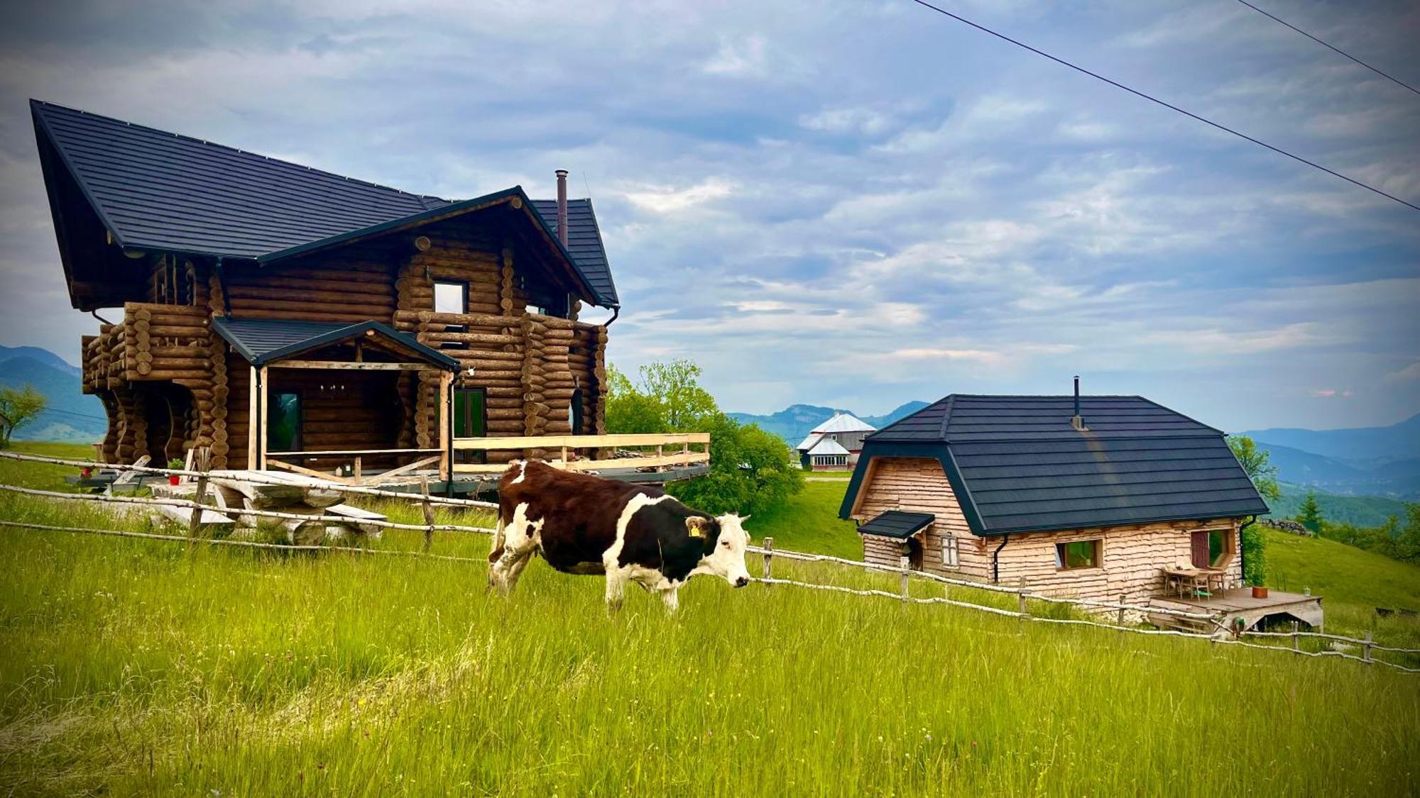 The Barn Villa Şirnea Exteriör bild
