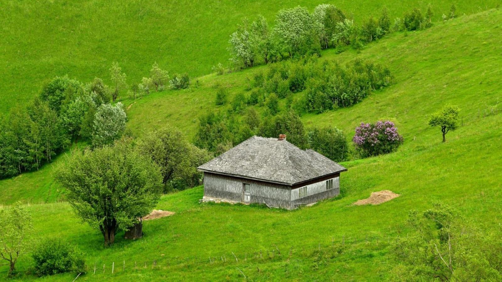 The Barn Villa Şirnea Exteriör bild