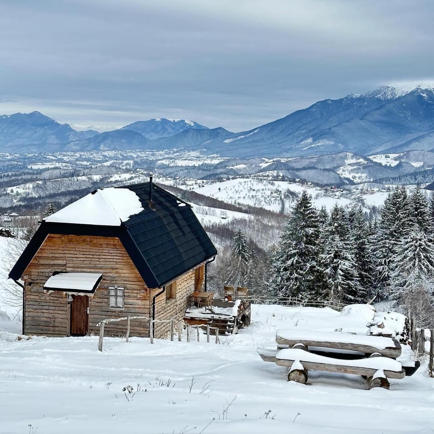 The Barn Villa Şirnea Exteriör bild
