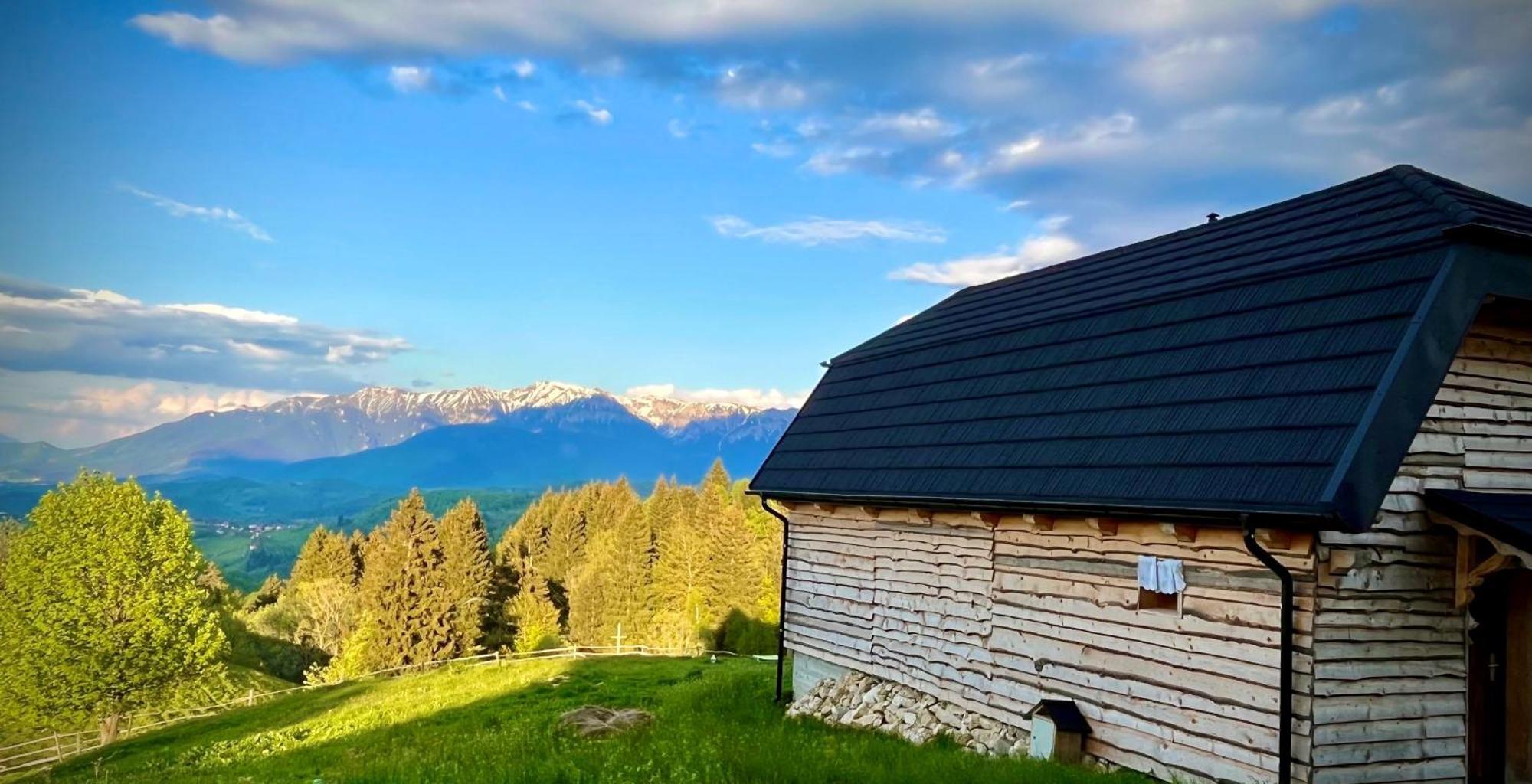 The Barn Villa Şirnea Exteriör bild