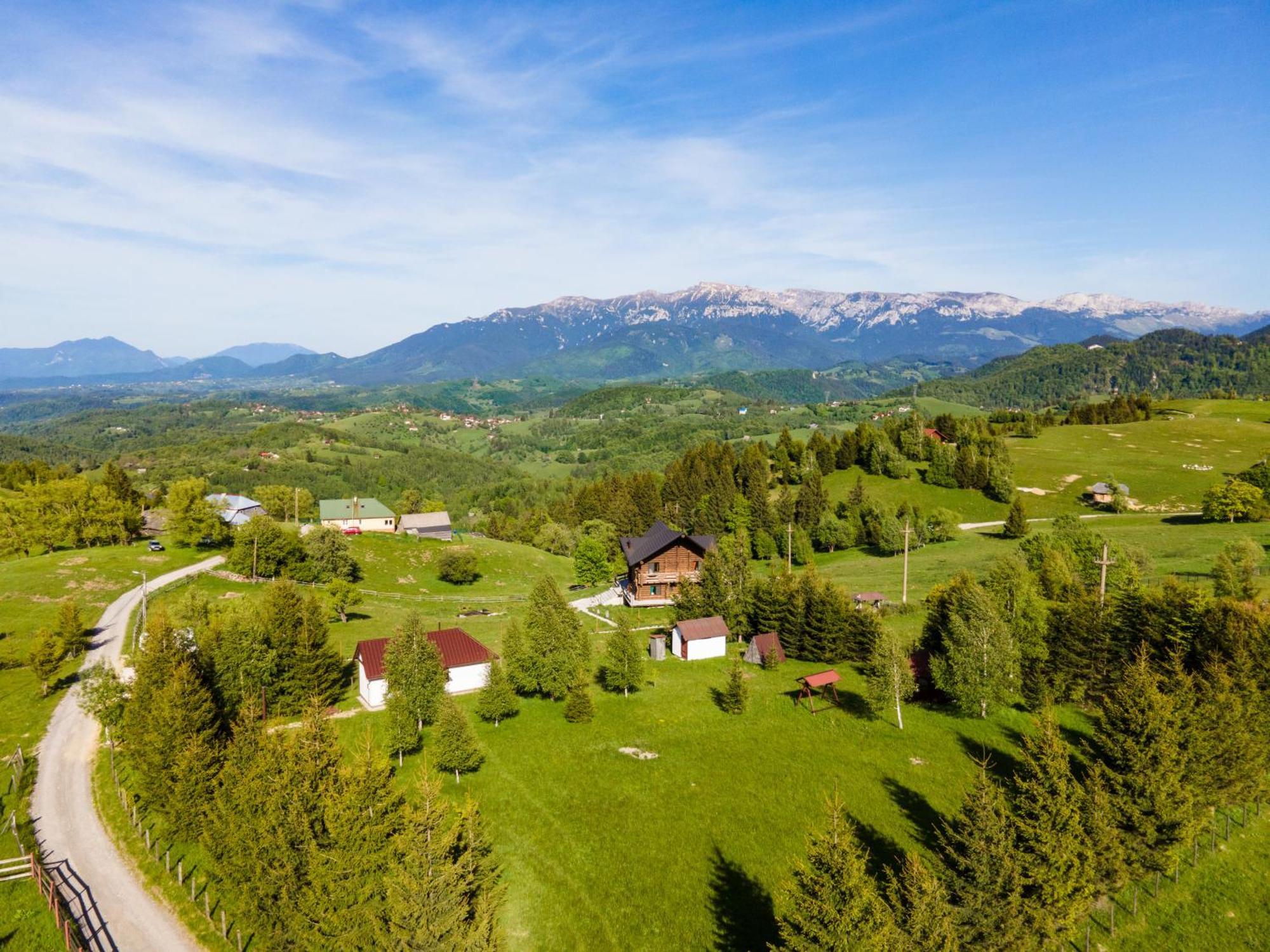 The Barn Villa Şirnea Exteriör bild